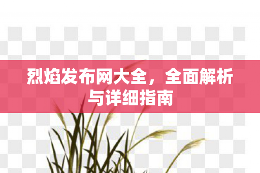 烈焰发布网大全，全面解析与详细指南