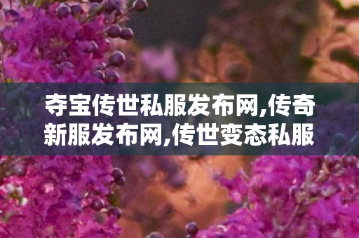夺宝传世私服发布网,传奇新服发布网,传世变态私服,传奇新服发布网