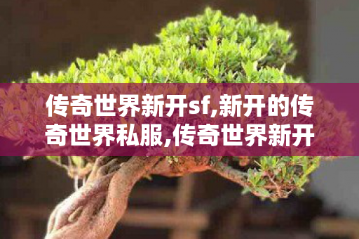传奇世界新开sf,新开的传奇世界私服,传奇世界新开网站服,新开的传奇世界私服