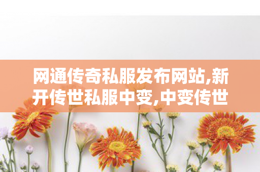 网通传奇私服发布网站,新开传世私服中变,中变传世,新开传世私服中变