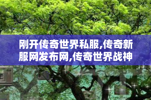 刚开传奇世界私服,传奇新服网发布网,传奇世界战神复古,传奇新服网发布网