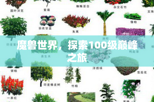 魔兽世界，探索100级巅峰之旅