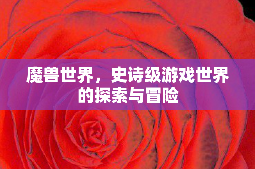 魔兽世界，史诗级游戏世界的探索与冒险