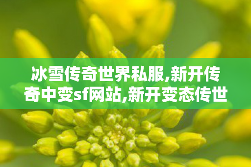 冰雪传奇世界私服,新开传奇中变sf网站,新开变态传世,新开传奇中变sf网站