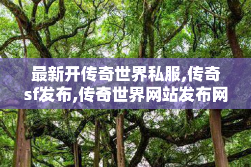 最新开传奇世界私服,传奇sf发布,传奇世界网站发布网,传奇sf发布