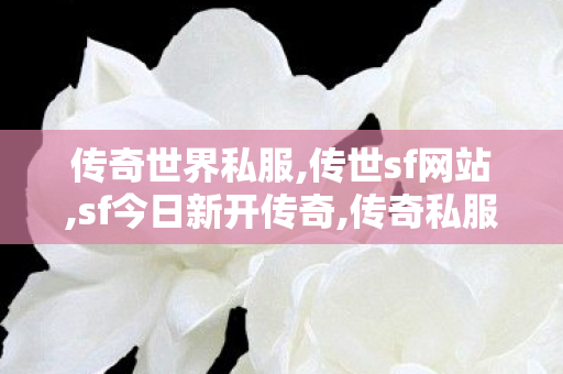 传奇世界私服,传世sf网站,sf今日新开传奇,传奇私服公布网,sf今日新开传奇