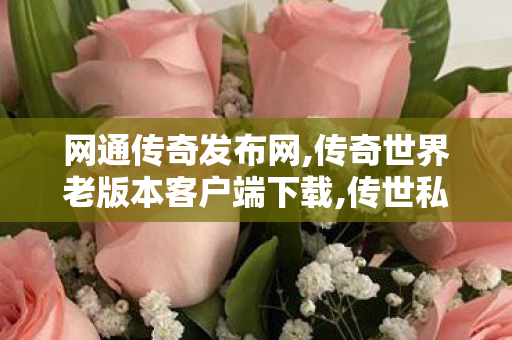 网通传奇发布网,传奇世界老版本客户端下载,传世私服网,传奇世界老版本客户端下载
