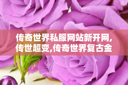 传奇世界私服网站新开网,传世超变,传奇世界复古金币版,传世超变