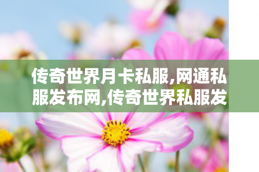传奇世界月卡私服,网通私服发布网,传奇世界私服发布网刚开一秒,网通私服发布网