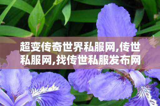 超变传奇世界私服网,传世私服网,找传世私服发布网站,传世私服网