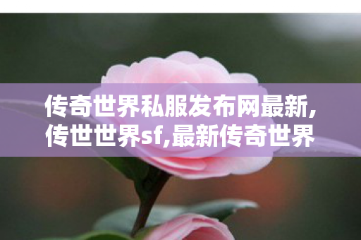 传奇世界私服发布网最新,传世世界sf,最新传奇世界私服网,传世世界sf