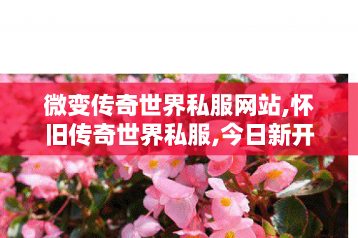 微变传奇世界私服网站,怀旧传奇世界私服,今日新开传世网,怀旧传奇世界私服