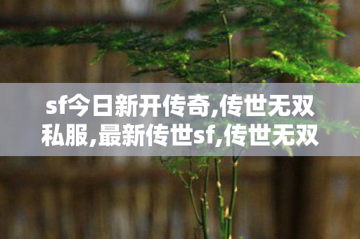 sf今日新开传奇,传世无双私服,最新传世sf,传世无双私服