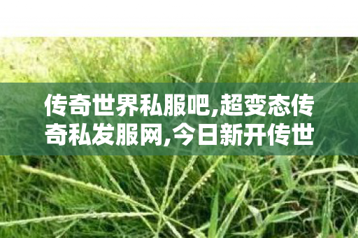 传奇世界私服吧,超变态传奇私发服网,今日新开传世私服,超变态传奇私发服网