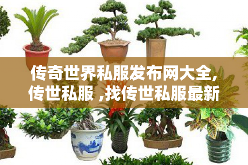 传奇世界私服发布网大全,传世私服 ,找传世私服最新开传世sf网,传世私服