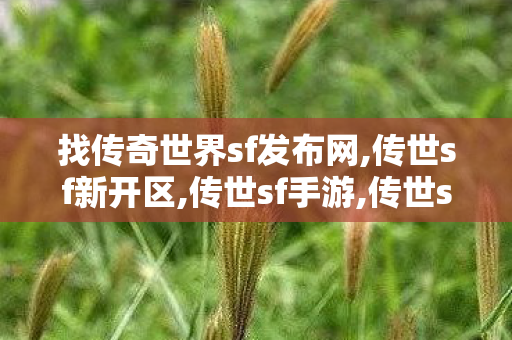 找传奇世界sf发布网,传世sf新开区,传世sf手游,传世sf新开区