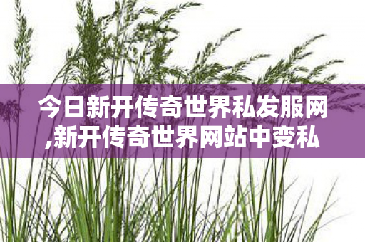 今日新开传奇世界私发服网,新开传奇世界网站中变私服,传世开服网,新开传奇世界网站中变私服