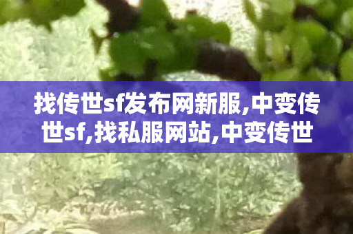 找传世sf发布网新服,中变传世sf,找私服网站,中变传世sf