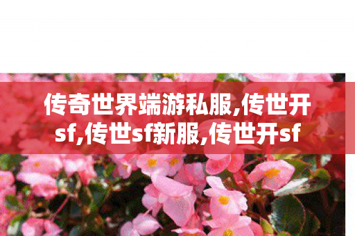 传奇世界端游私服,传世开sf,传世sf新服,传世开sf