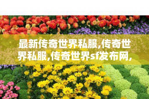 最新传奇世界私服,传奇世界私服,传奇世界sf发布网,传世变态私服,传奇世界私服,传奇世界sf发布网