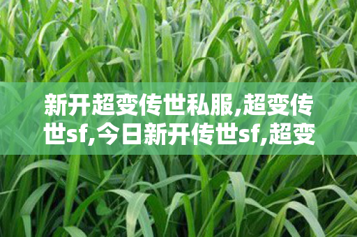 新开超变传世私服,超变传世sf,今日新开传世sf,超变传世sf