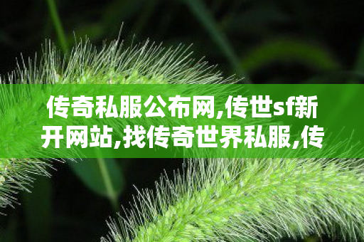 传奇私服公布网,传世sf新开网站,找传奇世界私服,传世sf新开网站