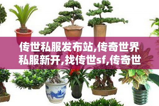 传世私服发布站,传奇世界私服新开,找传世sf,传奇世界私服新开