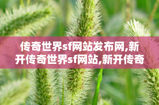 传奇世界sf网站发布网,新开传奇世界sf网站,新开传奇世界私服中变,新开传奇世界sf网站