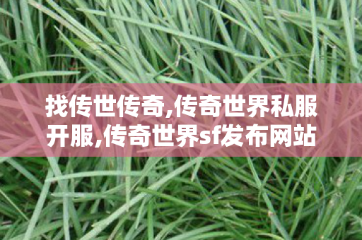 找传世传奇,传奇世界私服开服,传奇世界sf发布网站,传奇世界私服开服