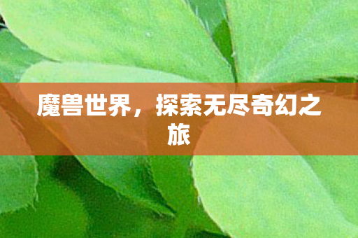 魔兽世界，探索无尽奇幻之旅