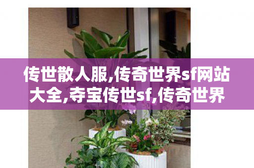 传世散人服,传奇世界sf网站大全,夺宝传世sf,传奇世界sf网站大全