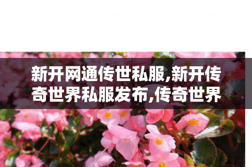 新开网通传世私服,新开传奇世界私服发布,传奇世界私服变态版,新开传奇世界私服发布