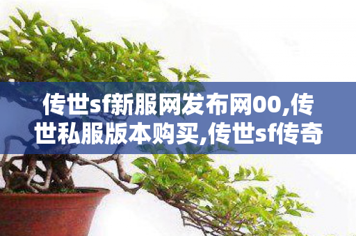 传世sf新服网发布网00,传世私服版本购买,传世sf传奇世界私服网,传世私服版本购买