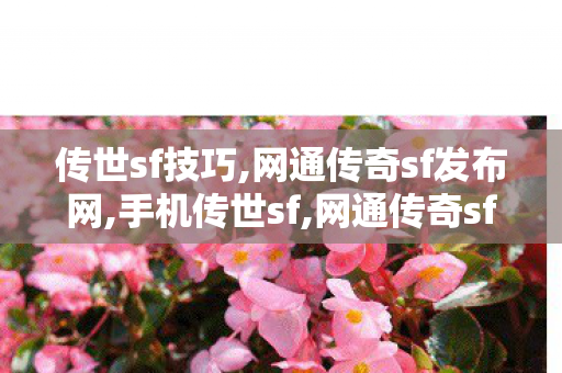 传世sf技巧,网通传奇sf发布网,手机传世sf,网通传奇sf发布网