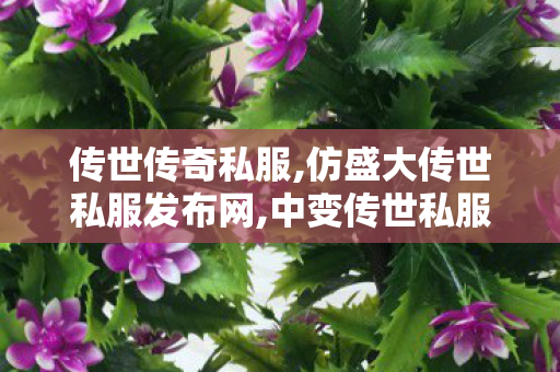 传世传奇私服,仿盛大传世私服发布网,中变传世私服发布网,仿盛大传世私服发布网