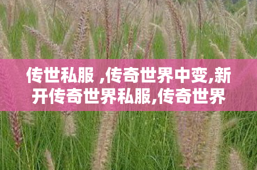 传世私服 ,传奇世界中变,新开传奇世界私服,传奇世界中变