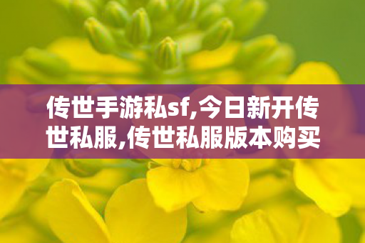传世手游私sf,今日新开传世私服,传世私服版本购买,今日新开传世私服