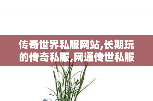 传奇世界私服网站,长期玩的传奇私服,网通传世私服,长期玩的传奇私服
