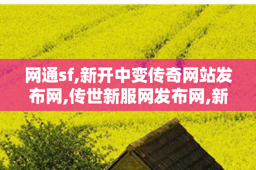 网通sf,新开中变传奇网站发布网,传世新服网发布网,新开中变传奇网站发布网