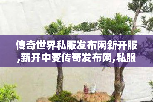 传奇世界私服发布网新开服,新开中变传奇发布网,私服传世,新开中变传奇发布网