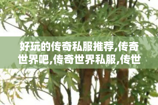 好玩的传奇私服推荐,传奇世界吧,传奇世界私服,传世sf网站,传奇世界吧