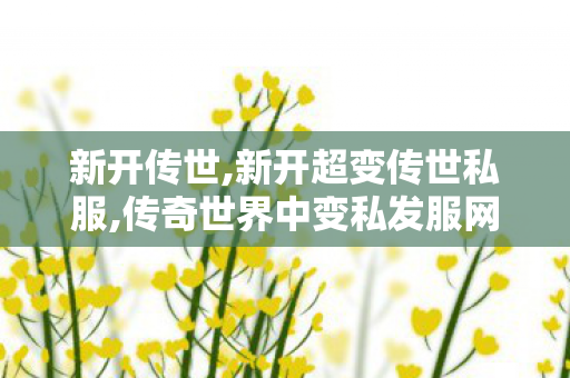 新开传世,新开超变传世私服,传奇世界中变私发服网,新开超变传世私服