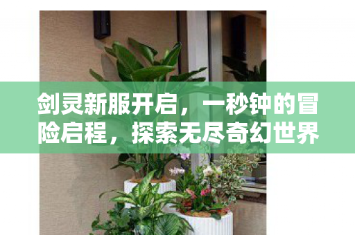 剑灵新服开启，一秒钟的冒险启程，探索无尽奇幻世界