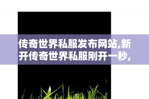 传奇世界私服发布网站,新开传奇世界私服刚开一秒,今日新开传世sf,新开传奇世界私服刚开一秒