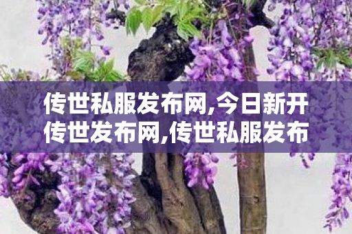 传世私服发布网,今日新开传世发布网,传世私服发布网新区,今日新开传世发布网
