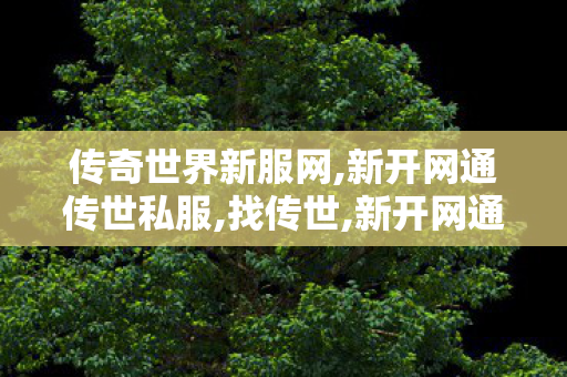 传奇世界新服网,新开网通传世私服,找传世,新开网通传世私服