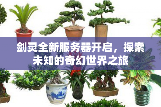 剑灵全新服务器开启，探索未知的奇幻世界之旅