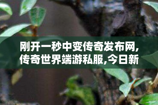 刚开一秒中变传奇发布网,传奇世界端游私服,今日新开传世网,传奇世界端游私服
