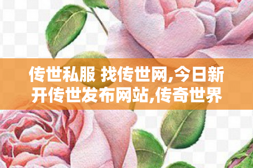 传世私服 找传世网,今日新开传世发布网站,传奇世界私服微变,今日新开传世发布网站