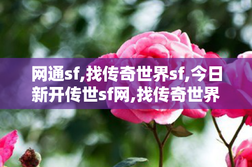 网通sf,找传奇世界sf,今日新开传世sf网,找传奇世界sf